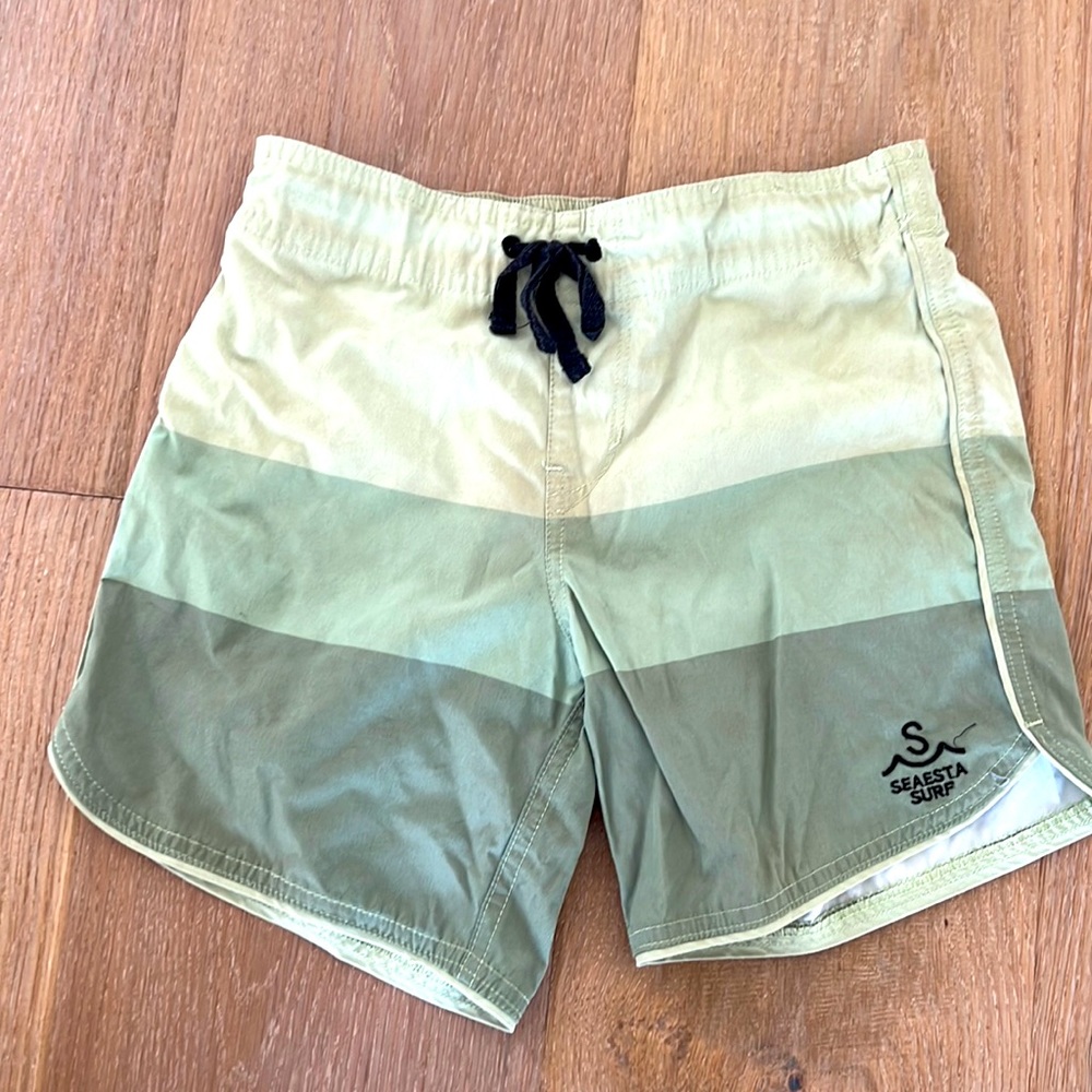 Seaesta Surf swim trunks